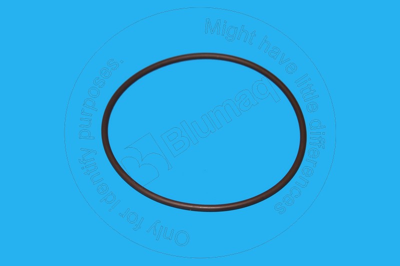 BE140760 Seal O-ring for BLUMAQ