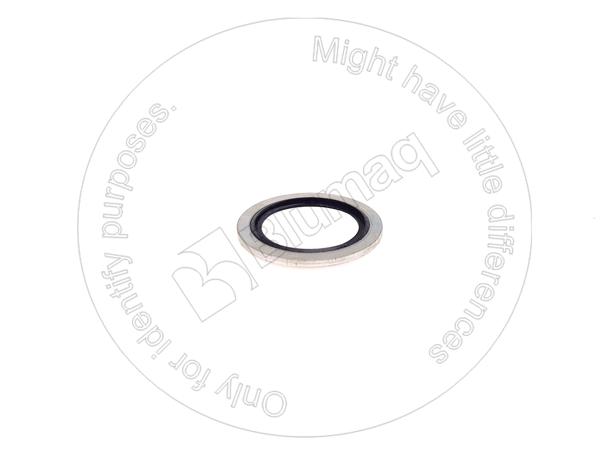 900.03106 Gasket for BLUMAQ