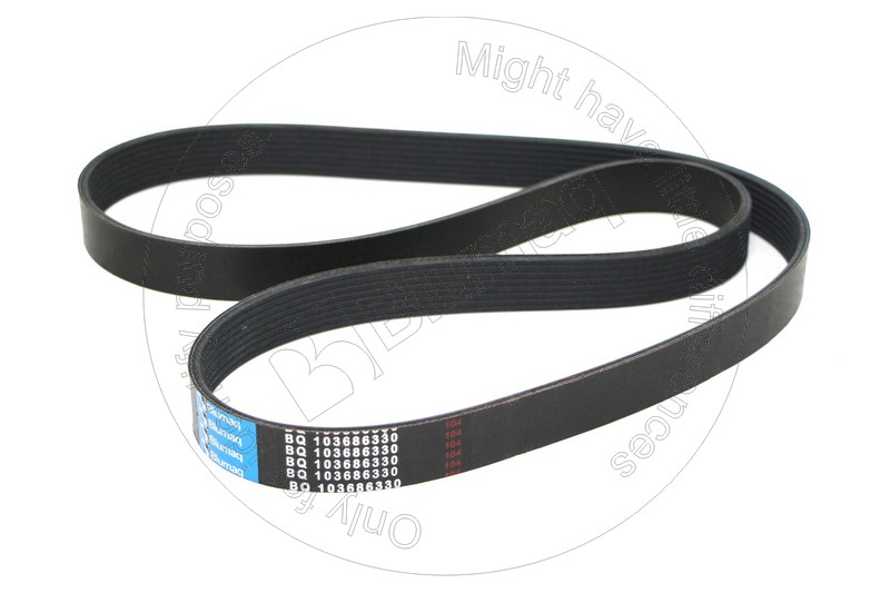 CSJ911565 Belt
