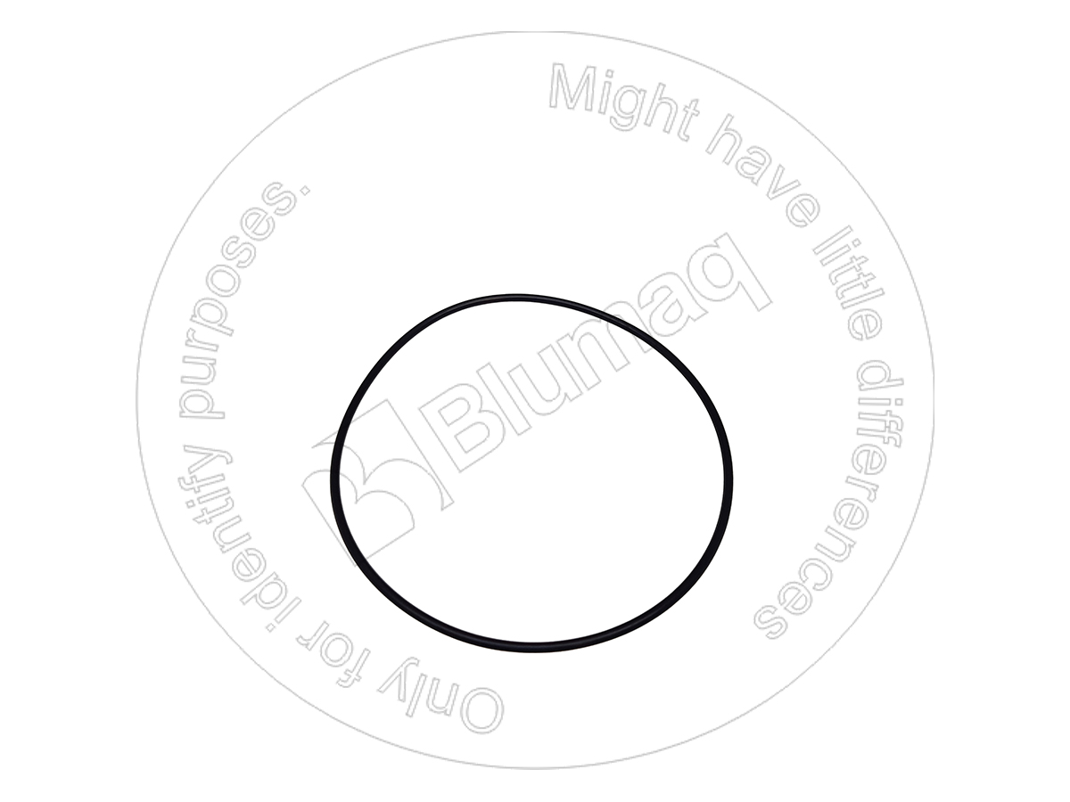 07000-C2130 Seal O-ring for BLUMAQ