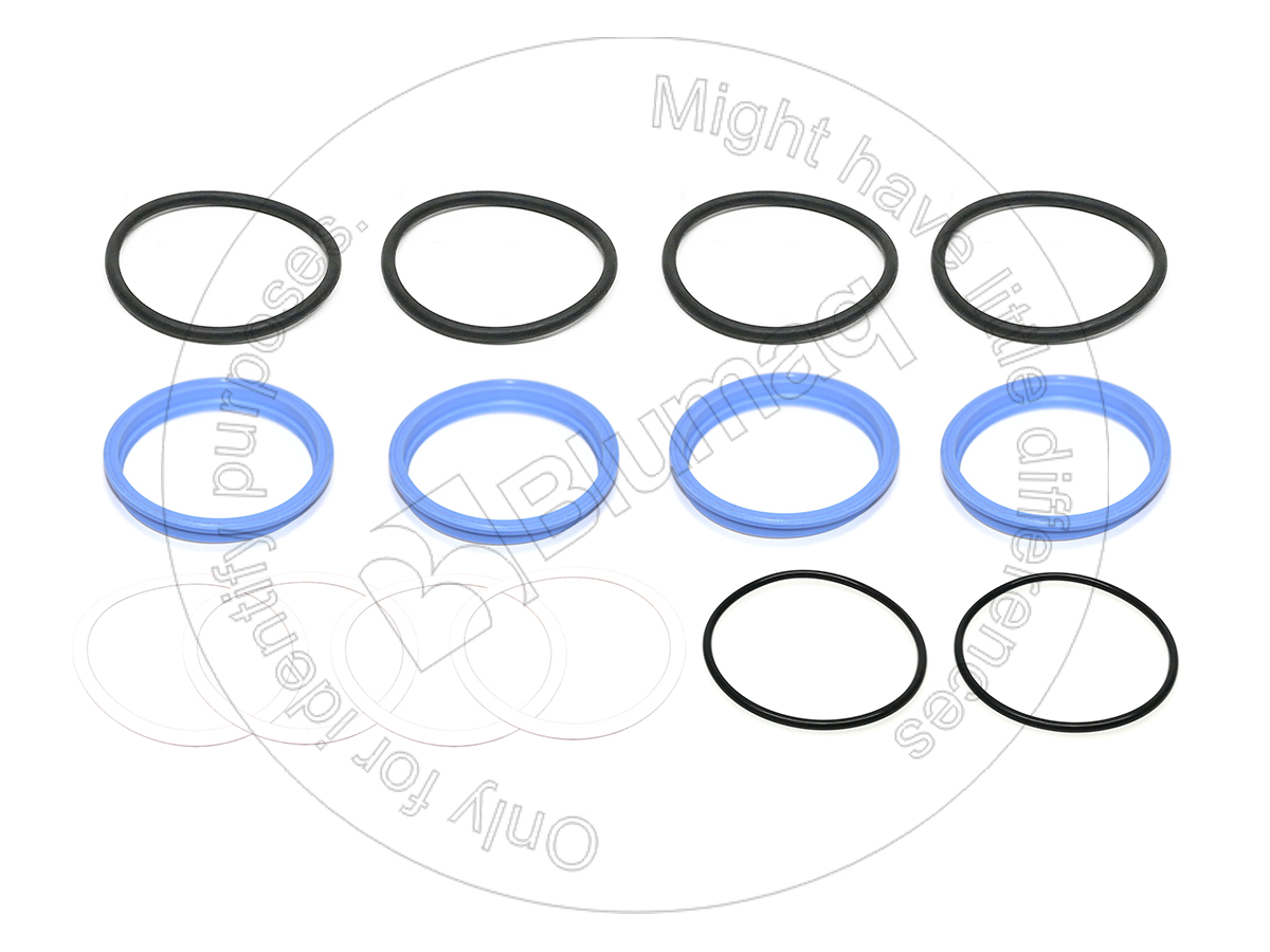 306-7009 Hydraulic Seal Kit for BLUMAQ