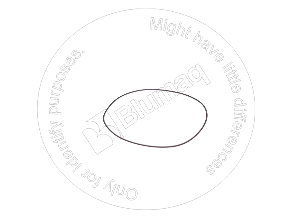 TX07.0709.0127 Seal O-ring for BLUMAQ