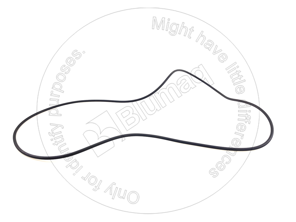 5D-6428 Seal O-ring for BLUMAQ
