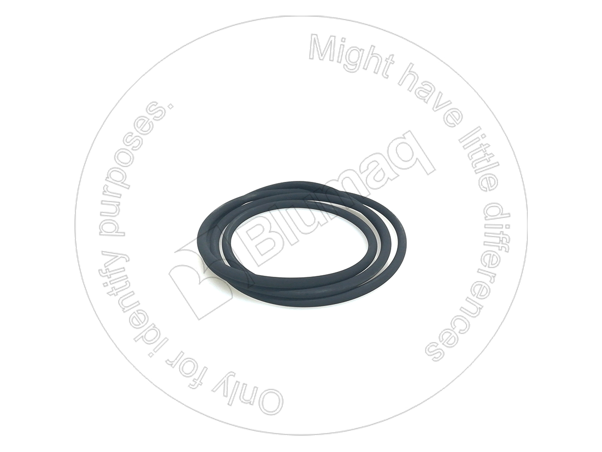 6V-9670 Seal O-ring for BLUMAQ