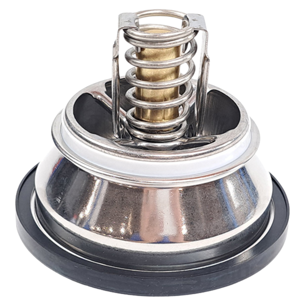 21830892 Thermostat
