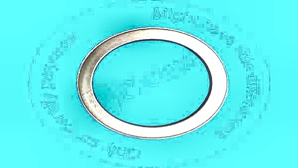 TX8024567 Seal Made to fit for TEREX