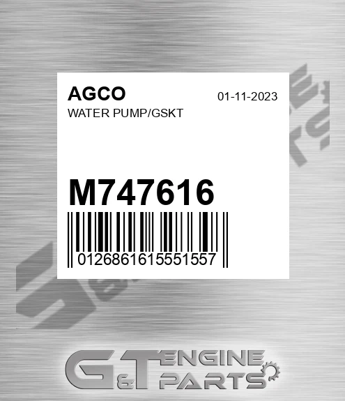 M747616 Water Pump/gskt for AGCO