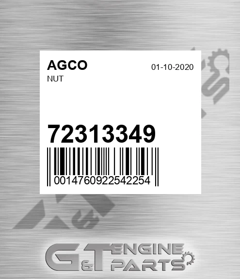 72313349 AGCO Nut