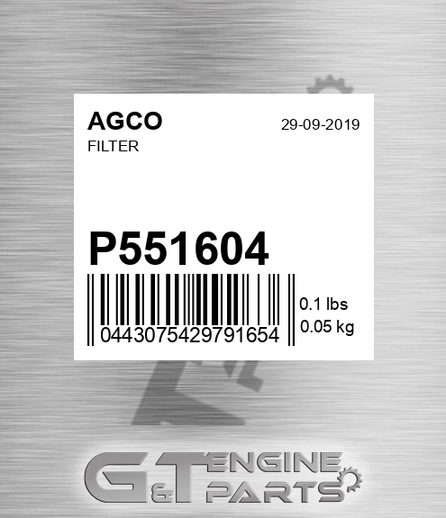 P551604 Filter