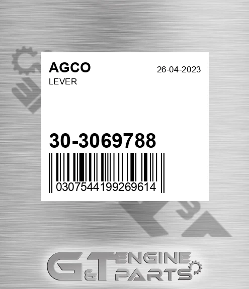 30-3069788 Lever for AGCO