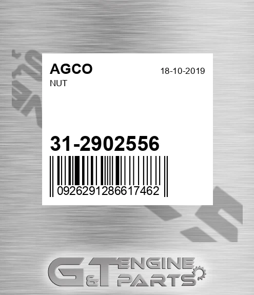 31-2902556 Nut for AGCO