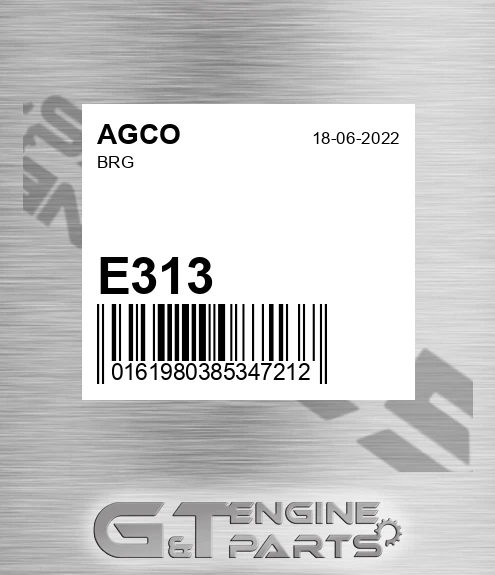 E313 AGCO Brg