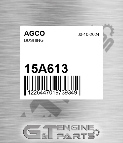 15A613 AGCO Bushing