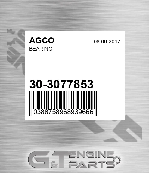 30-3077853 AGCO Bearing