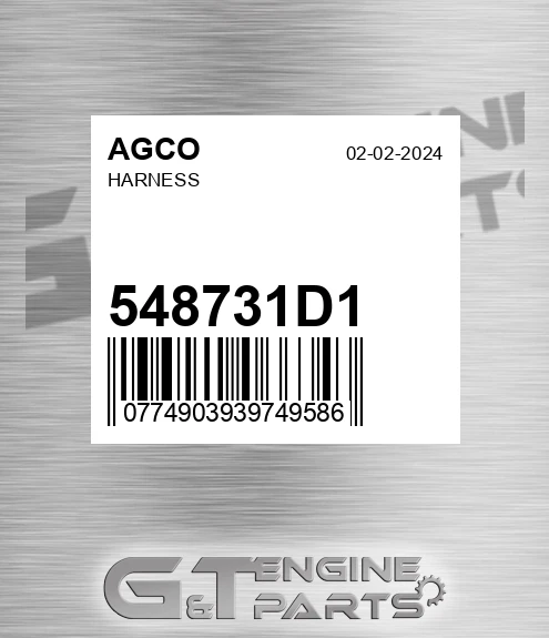 548731D1 AGCO Harness