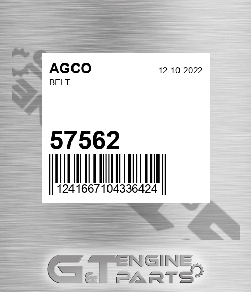 57562 Belt for AGCO