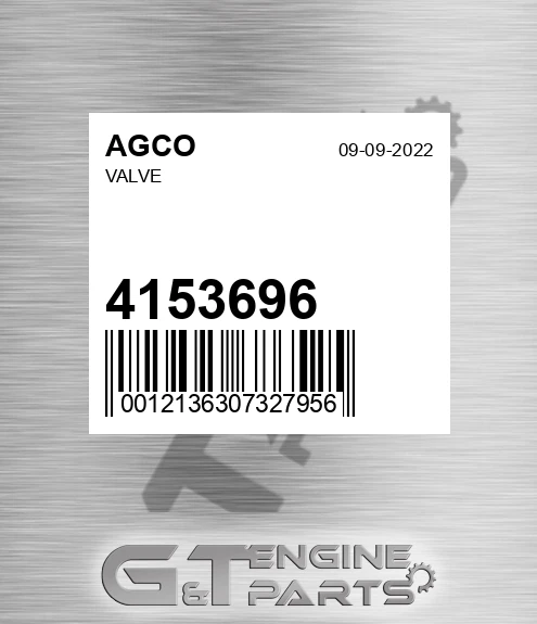 4153696 AGCO Valve