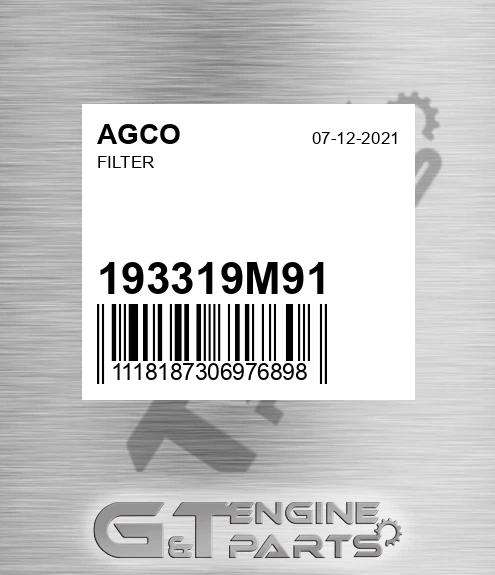 193319M91 Filter for AGCO