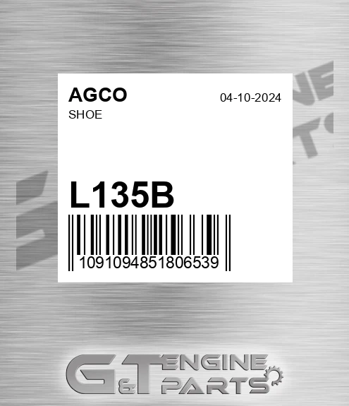 L135B Shoe