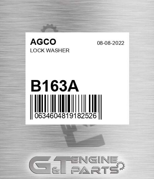 B163A Lock Washer