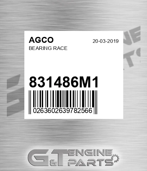 831486M1 Bearing Race for AGCO