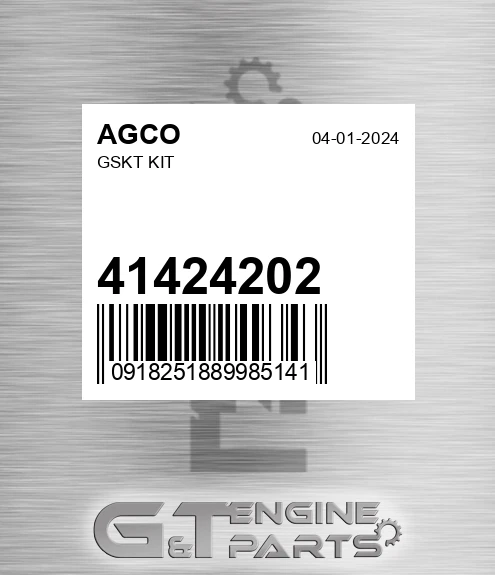 41424202 Gskt Kit for AGCO