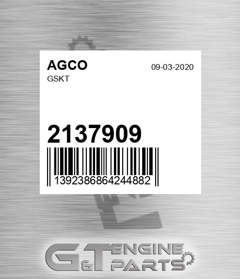 2137909 AGCO Gskt