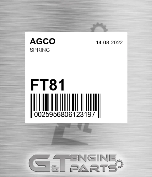FT81 Spring