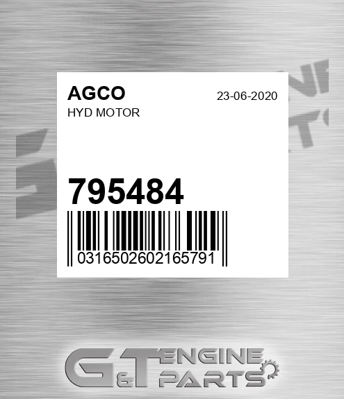 795484 AGCO Hyd Motor