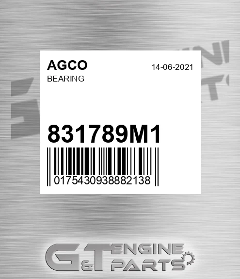 831789M1 Bearing