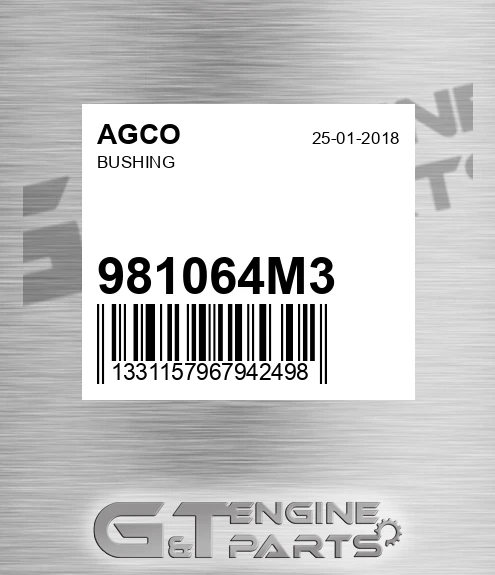 981064M3 Bushing for AGCO