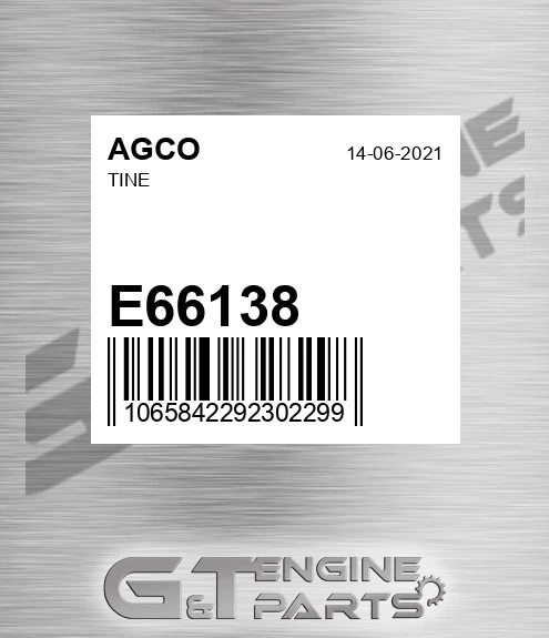E66138 Tine