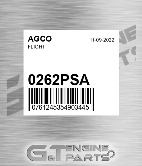 0262PSA Flight