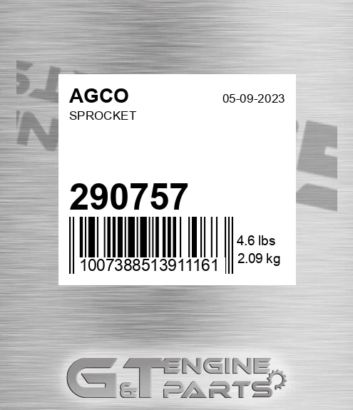 290757 Sprocket for AGCO