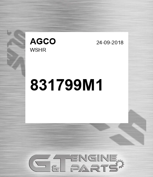 831799M1 AGCO Wshr