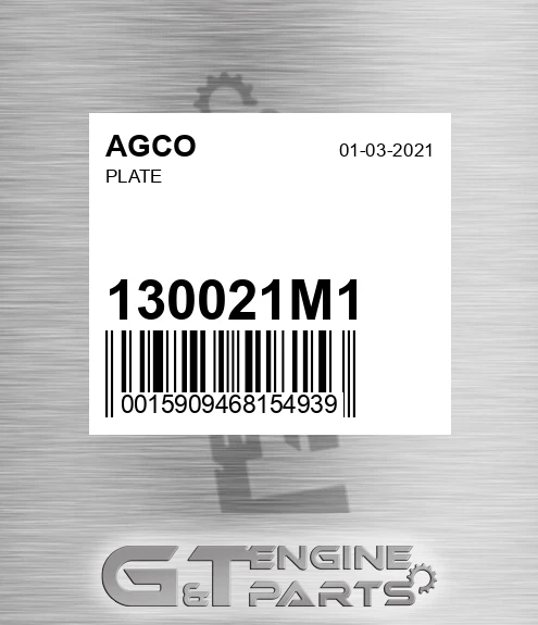 130021M1 Plate
