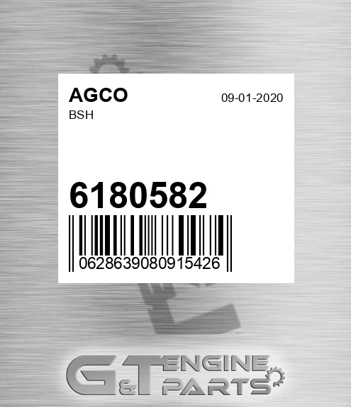 6180582 AGCO Bsh