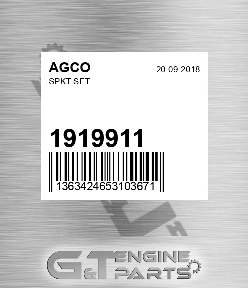 1919911 Spkt Set for AGCO