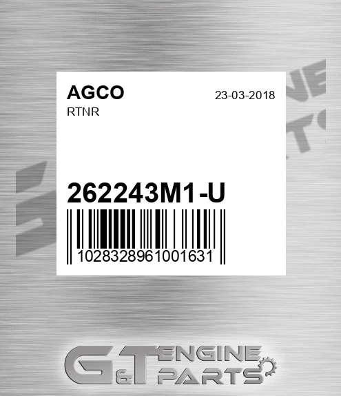 262243M1-U Rtnr for AGCO