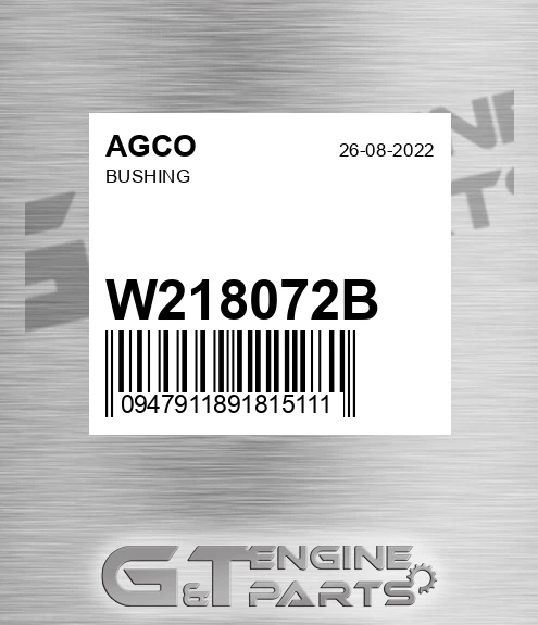 W218072B Bushing