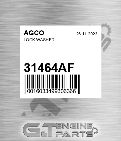 31464AF AGCO Lock Washer