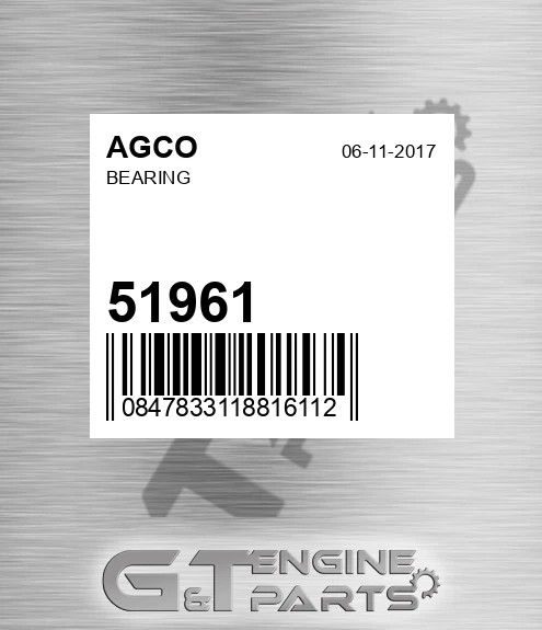 51961 Bearing for AGCO