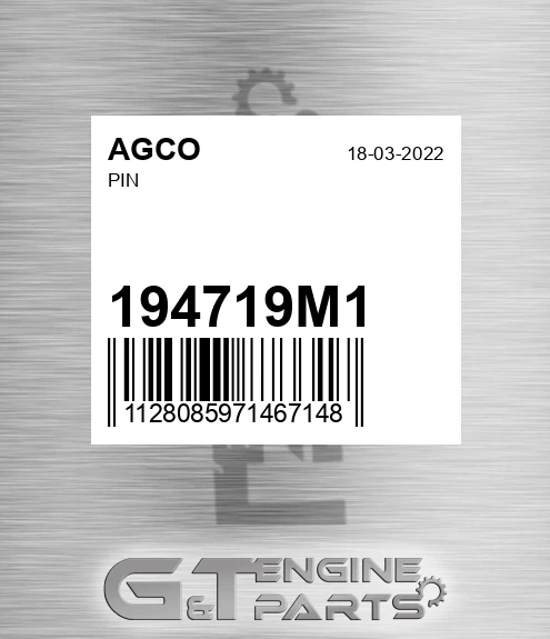 194719M1 Pin for AGCO
