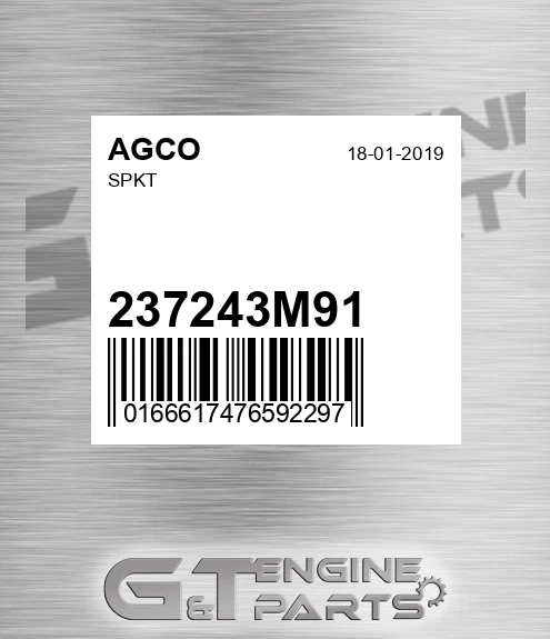 237243M91 AGCO Spkt