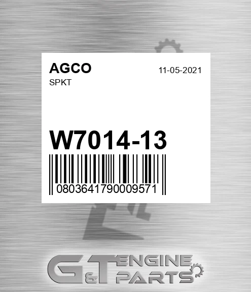 W7014-13 Spkt for AGCO