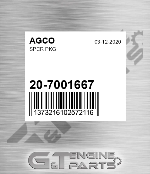 20-7001667 Spcr Pkg for AGCO