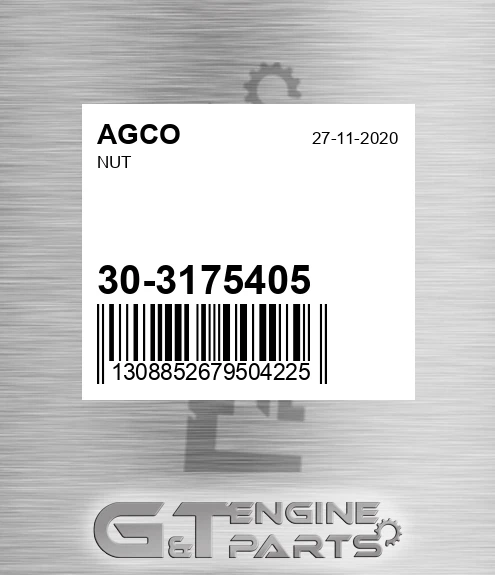 30-3175405 Nut for AGCO