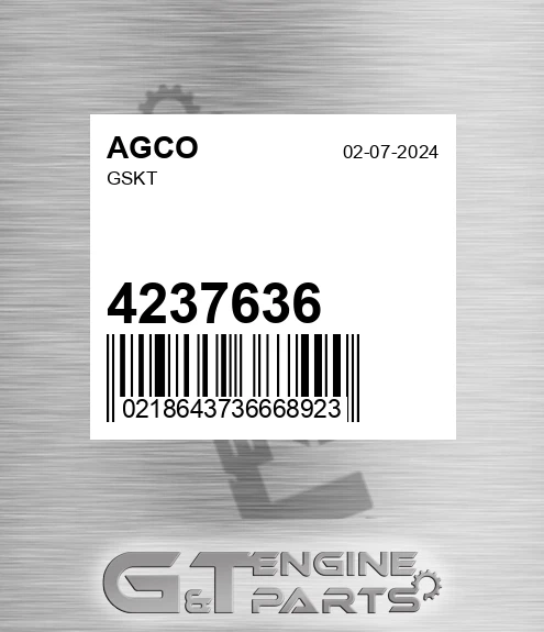 4237636 Gskt