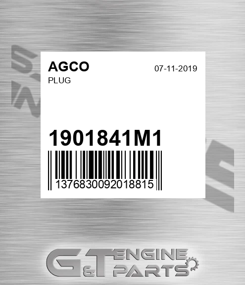 1901841M1 Plug for AGCO