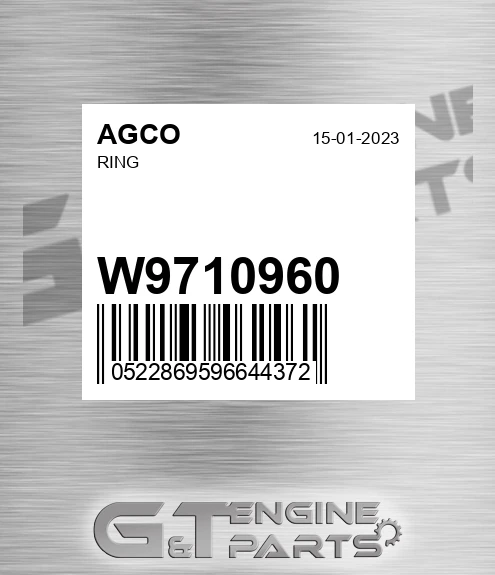 W9710960 Ring for AGCO